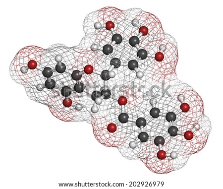 Epigallocatechin gallate (EGCG) green tea polyphenol molecule. Has antioxidant properties and may contribute to health effects of tea. Atoms are represented as spheres with conventional color coding.