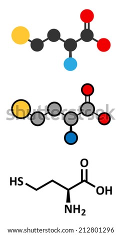 Homocysteine (Hcy) biomarker molecule. Increased levels indicate elevated risk of cardiovascular disease. Stylized 2D renderings and conventional skeletal formula.