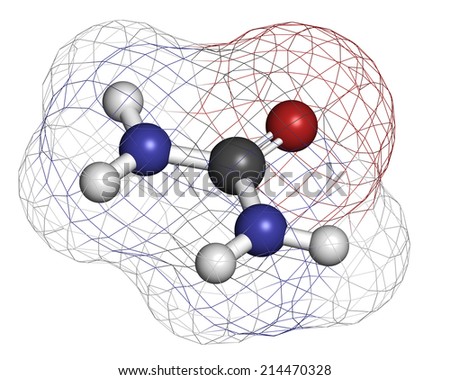 Urea (carbamide) molecule. Used in cosmetics, fertilizer; present in urine. Atoms are represented as spheres with conventional color coding: hydrogen (white), carbon (grey), oxygen (red), etc