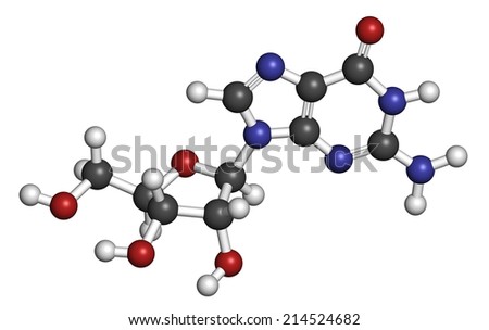 Guanosine purine nucleoside molecule. Important component of GTP, GDP, cGMP, GMP and RNA. Atoms are represented as spheres with conventional color coding: hydrogen (white), carbon (grey), etc