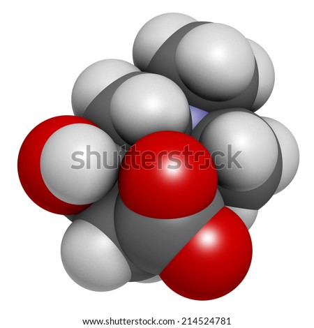Carnitine molecule, chemical structure. Often found in nutritional supplements. Natural food sources include red meat and dairy products. Atoms are represented as spheres with conventional color.