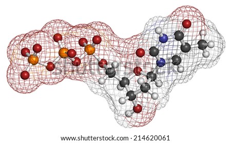 Thymidine triphosphate (TTP) nucleotide molecule. DNA building block. Atoms are represented as spheres with conventional color coding.