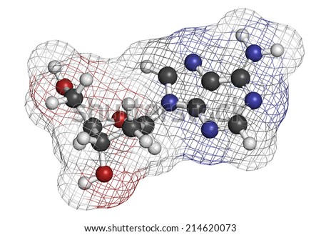 Deoxyadenosine (dA) nucleoside molecule. DNA building block. Atoms are represented as spheres with conventional color coding: hydrogen (white), carbon (grey), nitrogen (blue), oxygen (red).