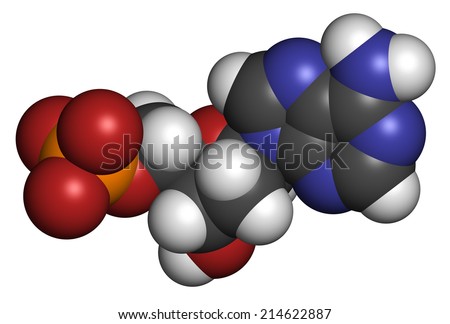 Deoxyadenosine monophosphate (dAMP) nucleotide molecule. DNA building block. Atoms are represented as spheres with conventional color coding: hydrogen (white), carbon (grey), nitrogen (blue), etc