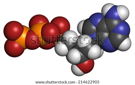 Deoxyadenosine triphosphate (dATP) nucleotide molecule. DNA building block. Atoms are represented as spheres with conventional color coding: hydrogen (white), carbon (grey), nitrogen (blue), etc