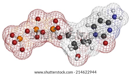 Deoxycytidine triphosphate (dCTP) nucleotide molecule. DNA building block. Atoms are represented as spheres with conventional color coding: hydrogen (white), carbon (grey), nitrogen (blue), etc