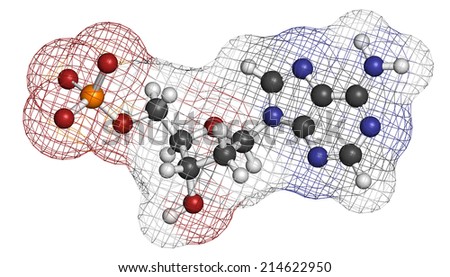 Deoxyadenosine monophosphate (dAMP) nucleotide molecule. DNA building block. Atoms are represented as spheres with conventional color coding: hydrogen (white), carbon (grey), nitrogen (blue), etc