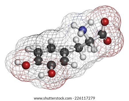 L-DOPA (levodopa) Parkinson\'s disease drug molecule. Atoms are represented as spheres with conventional color coding: hydrogen (white), carbon (grey), oxygen (red), nitrogen (blue).