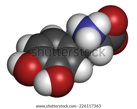 L-DOPA (levodopa) Parkinson\'s disease drug molecule. Atoms are represented as spheres with conventional color coding: hydrogen (white), carbon (grey), oxygen (red), nitrogen (blue).