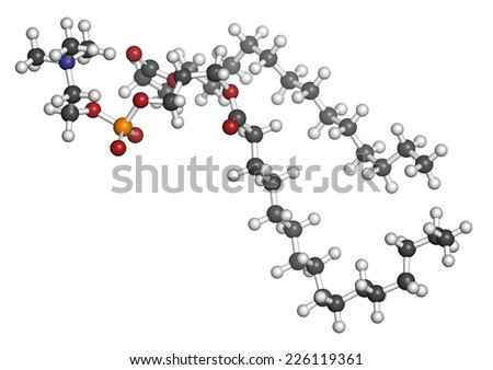 Pulmonary surfactant molecule. Chemical structure of dipalmitoylphosphatidylcholine (DPPC) the major constituent of lung surfactant. Atoms are represented as spheres with conventional color coding.