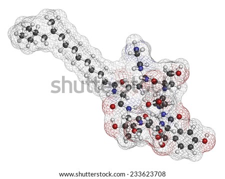 Caspofungin antifungal drug molecule. Atoms are represented as spheres with conventional color coding: hydrogen (white), carbon (grey), oxygen (red), nitrogen (blue).