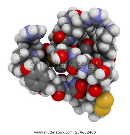 Ziconotide pain drug molecule. Synthetic form of omega conotoxin from cone snail. Atoms shown as color-coded spheres.