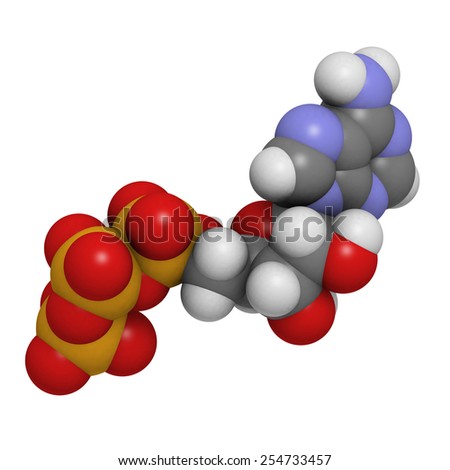 Adenosine triphosphate (ATP) energy transport molecule, chemical structure. ATP is the main energy transport molecule in most organisms. Atoms are represented as spheres with conventional color coding