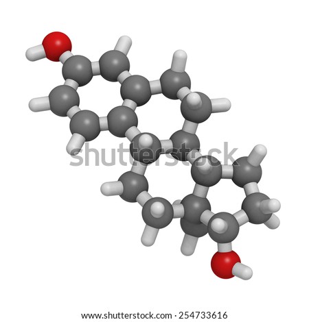 Estrogen (estradiol) female sex hormone, molecular model. Atoms are represented as spheres with conventional color coding: hydrogen (white), carbon (grey), oxygen (red)