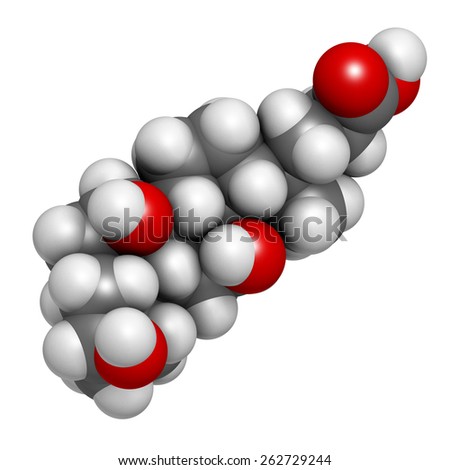 Bile acid (cholic acid, cholate) molecule. Cholic acid is the main bile acid in humans. Atoms are represented as spheres with conventional color coding: hydrogen (white), carbon (grey), oxygen (red).