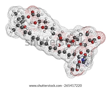 Amphotericin B antifungal drug molecule. Atoms are represented as spheres with conventional color coding: hydrogen (white), carbon (grey), oxygen (red), nitrogen (blue).