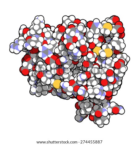 Anakinra rheumatoid arthritis drug, molecular structure. Recombinant form of human interleukin-1 (IL-1) receptor antagonist protein. Atoms shown as color-coded spheres.