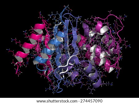 Carbapenemase carbapenem antibiotic resistance enzyme. Carbapenemase OXA-24 from the bacterium Acinetobacter baumannii. Cartoon + line model; N-to-C gradient coloring.