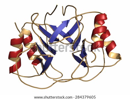 Platelet factor 4 (PF-4) chemokine protein. Cartoon representation. Secondary structure coloring.