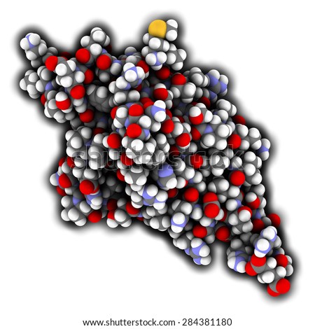 Programmed cell death 1 (PD-1, CD279) receptor protein. PD-1 is a major cancer drug target. Atoms are represented as spheres with conventional color coding.