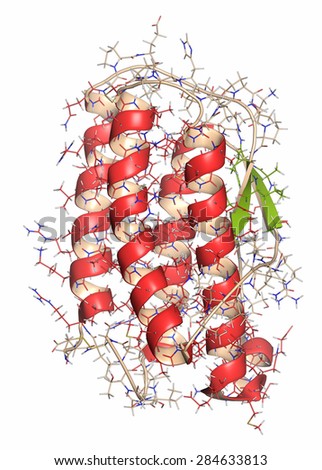 Thrombopoietin (THPO, functional domain) hormone. Regulates production of blood platelets. Cartoon + line representation. Secondary structure coloring.