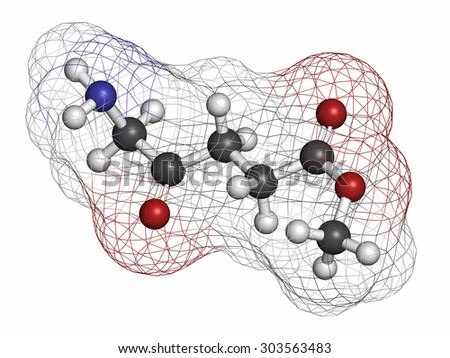 Methyl aminolevulinate non-melanoma skin cancer drug molecule. Used in photodynamic therapy. Atoms are represented as spheres with conventional color coding: hydrogen (white), carbon (grey), etc