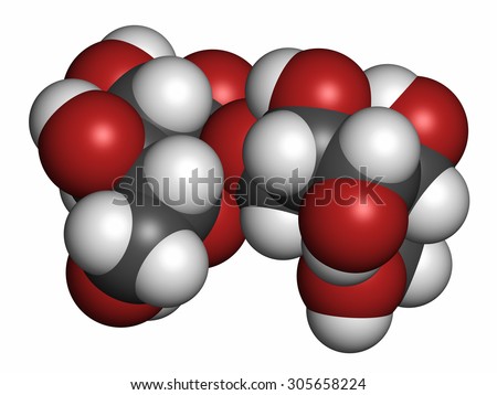 Trehalose (mycose, tremalose) sugar molecule. Atoms are represented as spheres with conventional color coding: hydrogen (white), carbon (grey), oxygen (red).