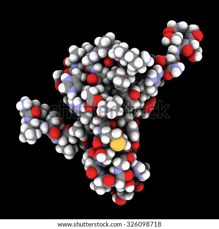 Tau protein fragment. May play a role in Alzheimer\'s disease. Atoms are represented as spheres with conventional color coding.