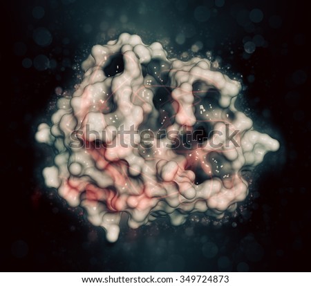 Trypsin digestive enzyme molecule (human). Enzyme that contributes to the digestion of proteins in the digestive system. Cartoon representation (red) combined with semi-transparent surfaces.