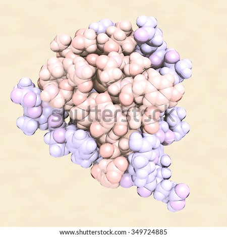 Insulin peptide hormone, chemical structure. Used in treatment of diabetes. Atoms are represented as colored spheres (per chain coloring).