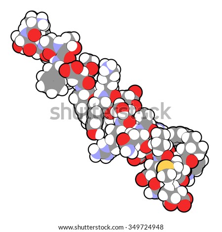 Glucagon peptide hormone. Has blood sugar level increasing effects, balancing the effect of insulin. Atoms are represented as spheres with conventional color coding.