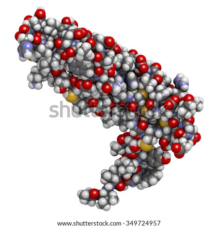 Vascular endothelial growth factor A (VEGF A) protein molecule. Atoms are represented as spheres with conventional color coding.