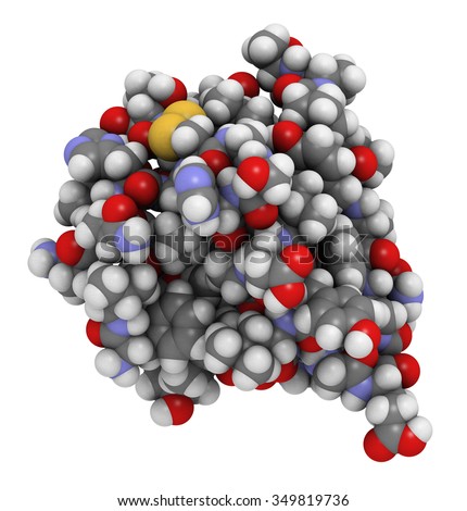 Insulin peptide hormone molecule. Used in treatment of diabetes. Atoms shown as color-coded spheres. Conventional per element coloring.