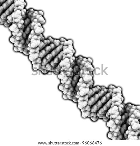 DNA 3D structure. DNA is the main carrier of genetic information in all organisms. The DNA shown here is part of a human gene and is shown as a linear double helix.