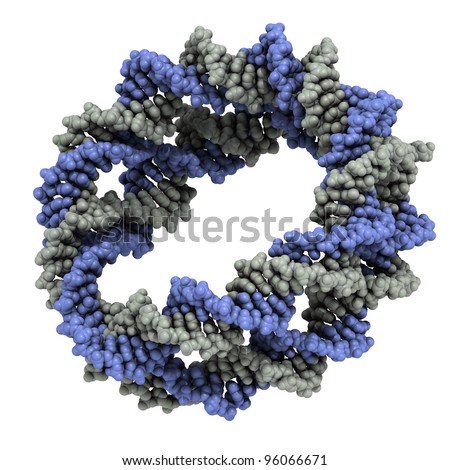 DNA 3D structure. The spiral DNA double helix pictured here shows how DNA really occurs in the cell, wound around histones and forming nucleosomes (histones were omitted for clarity).