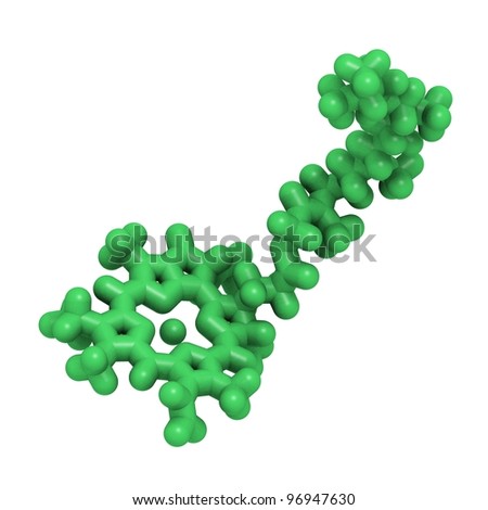 Chlorophyll Molecular Structure