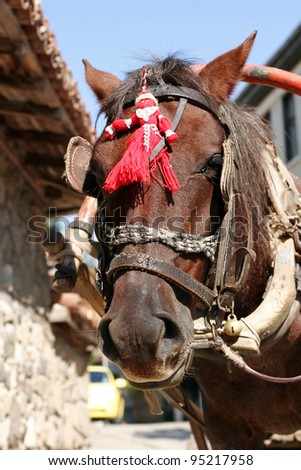 Horse in the street of old Nesebar Bulgaria