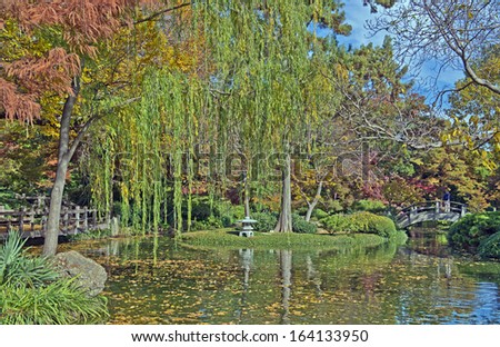 Fall foliage in the Japanese Garden, Fort Worth, Texas