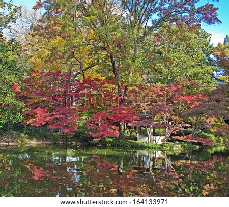 Fall foliage in the Japanese Garden, Fort Worth, Texas