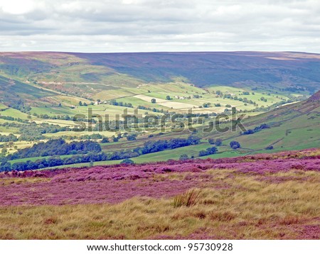 Heather in bloom on the moor above Farndale in the North Yorkshire Moors National Park, England
