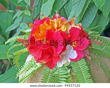 Exotic Thai tropical flower