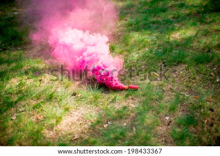 Pink smoke bomb in the forest