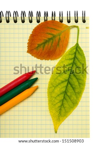 Back to school. The composition of the notebook into a cell, colored pencils and autumn leaves.