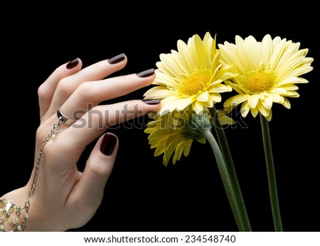 Manicured Nail with Black Matte Nail Polish. Manicure with Dark Nailpolish and flower isolated on Black Background.