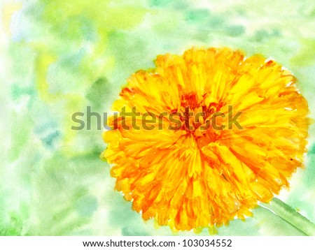 watercolor flower marigold