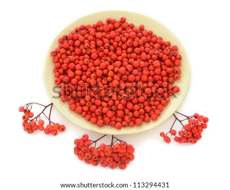 mountain ash on a plate on a  background