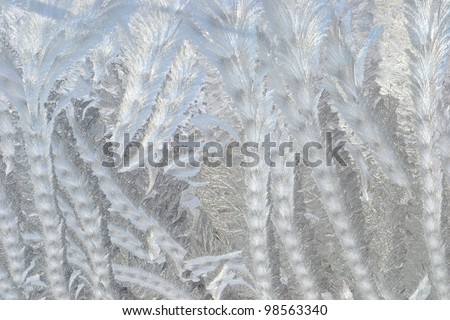 Frosty pattern at a winter window glass