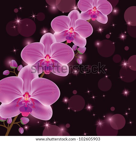 Greeting or invitation card with exotic flower purple orchid, dark luxury floral background, decorated stars and circle. Place for text, vector illustration