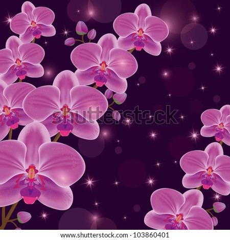 Greeting or invitation card with exotic flowers purple orchids, dark luxury floral background, decorated stars and circle. Place for text, vector illustration