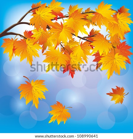 Autumn tree maple with flying leaves on blue background, beautiful nature landscape. Vector illustration.